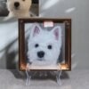 Handmade 3D Custom Pet Painting From Photo, Custom Pet Portraits, Custom Cat/Dog Portrait,3D Acrylic Glass Painting, Pet Remembrance Gifts CherishFurStudio