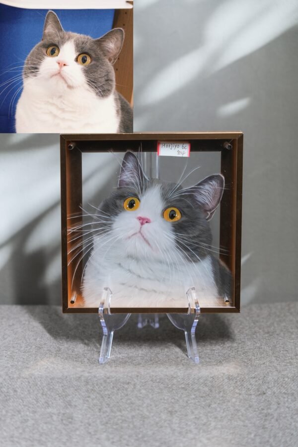 Handmade 3D Custom Pet Painting From Photo, Custom Pet Portraits, Custom Cat/Dog Portrait,3D Acrylic Glass Painting, Pet Remembrance Gifts CherishFurStudio
